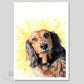 Dog art print of a long haired dachshund sausage dog from Naomi Jenkin Art. 