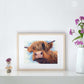 Highland cow art "Bad Hair Day" by Naomi Jenkin Art displayed in a light wooden frame.