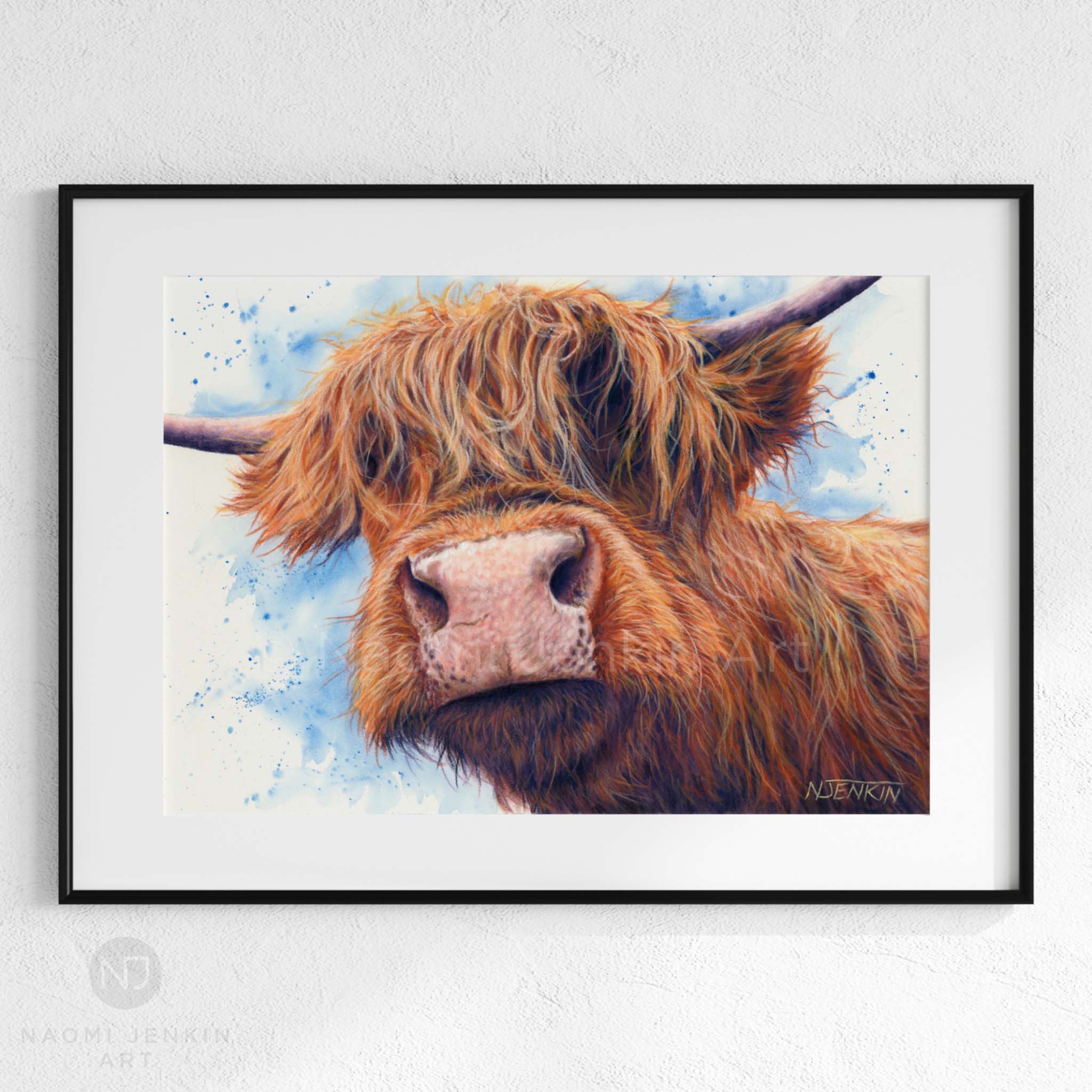 Highland Cattle Limited Edition Colour Photographic Art buy Print Highland Cow Photograph