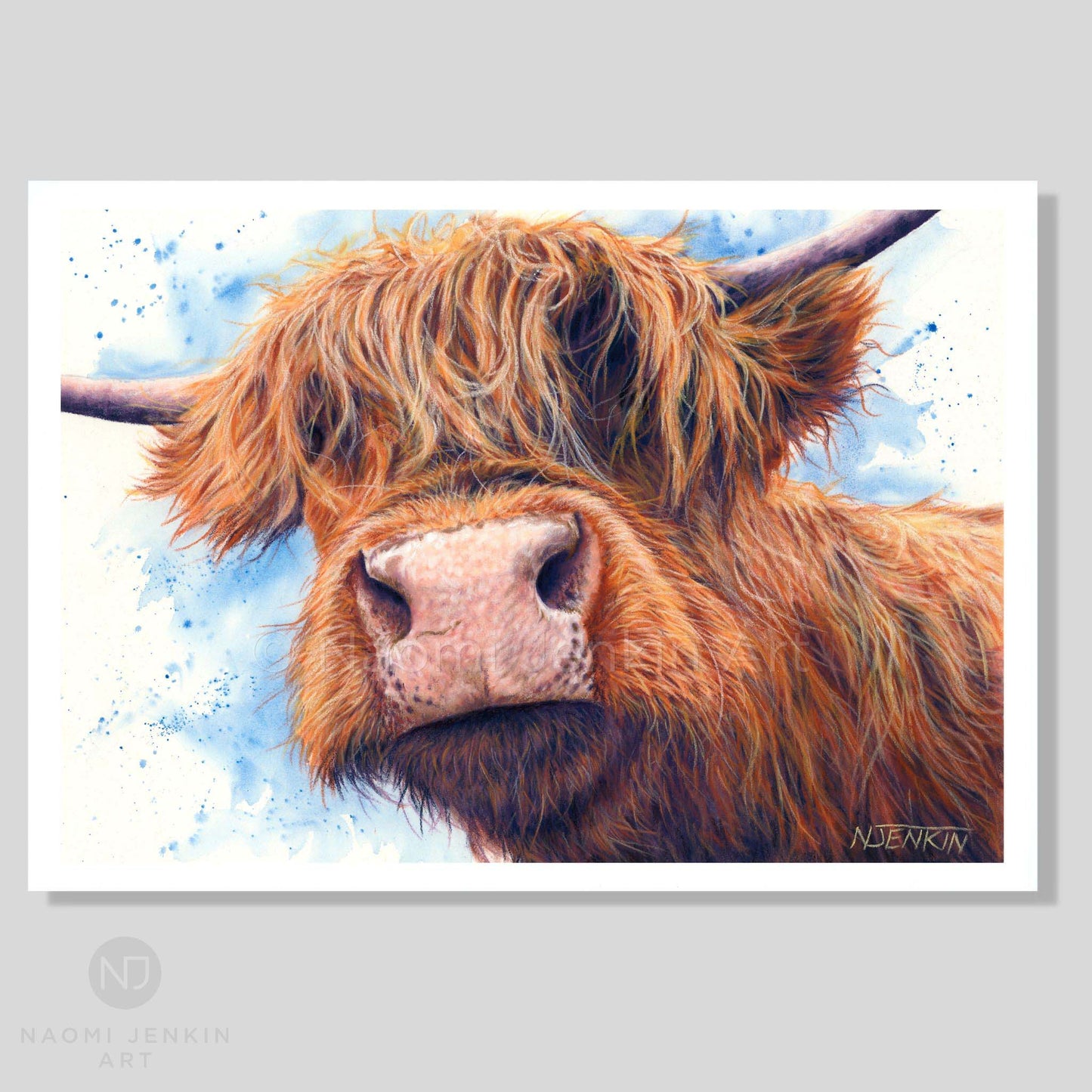 Colourful highland cow art print "Bad Hair Day" by Naomi Jenkin Art.