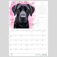 2026 Calendar with a black Labrador dog on a pink watercolour background by Naomi Jenkin Art