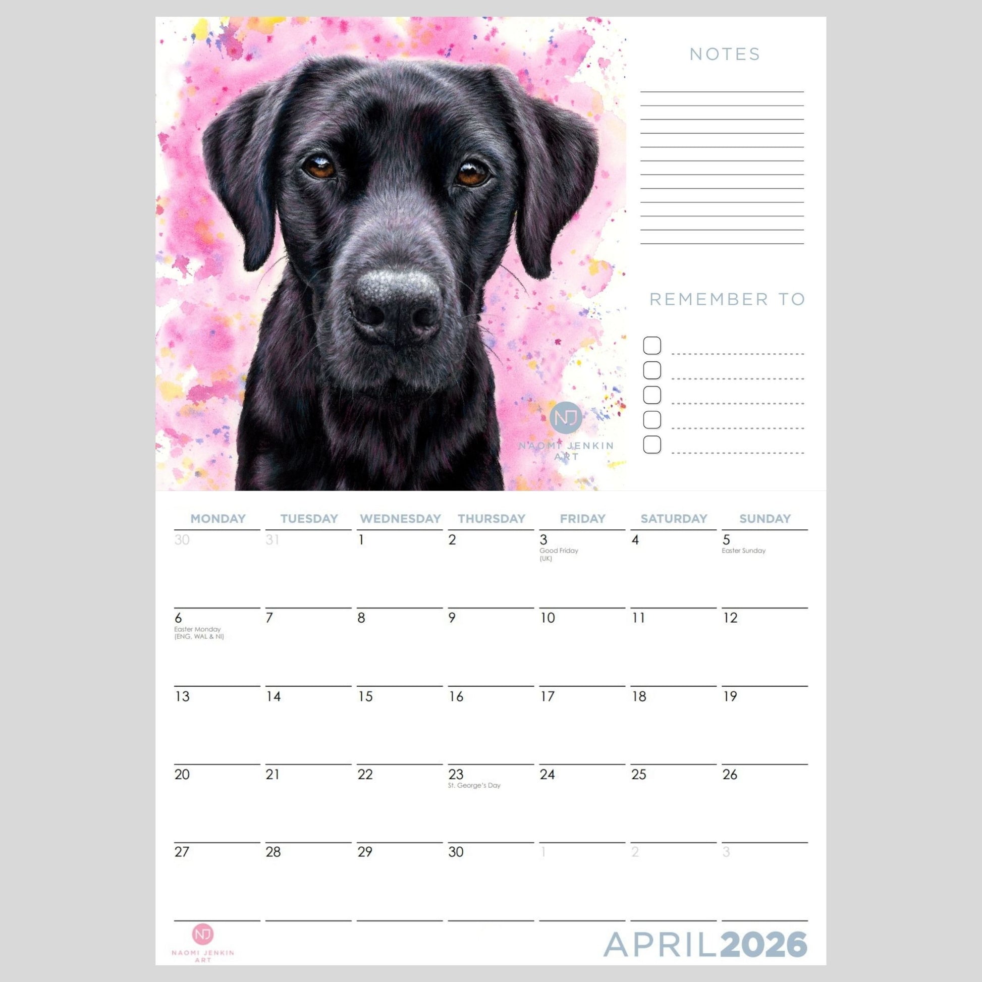 2026 Calendar with a black Labrador dog on a pink watercolour background by Naomi Jenkin Art