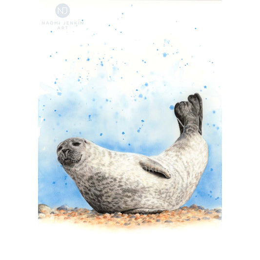 Original common seal drawing by Naomi Jenkin Art.