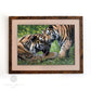 Framed original tiger painting 'Devotion' by Naomi Jenkin Art
