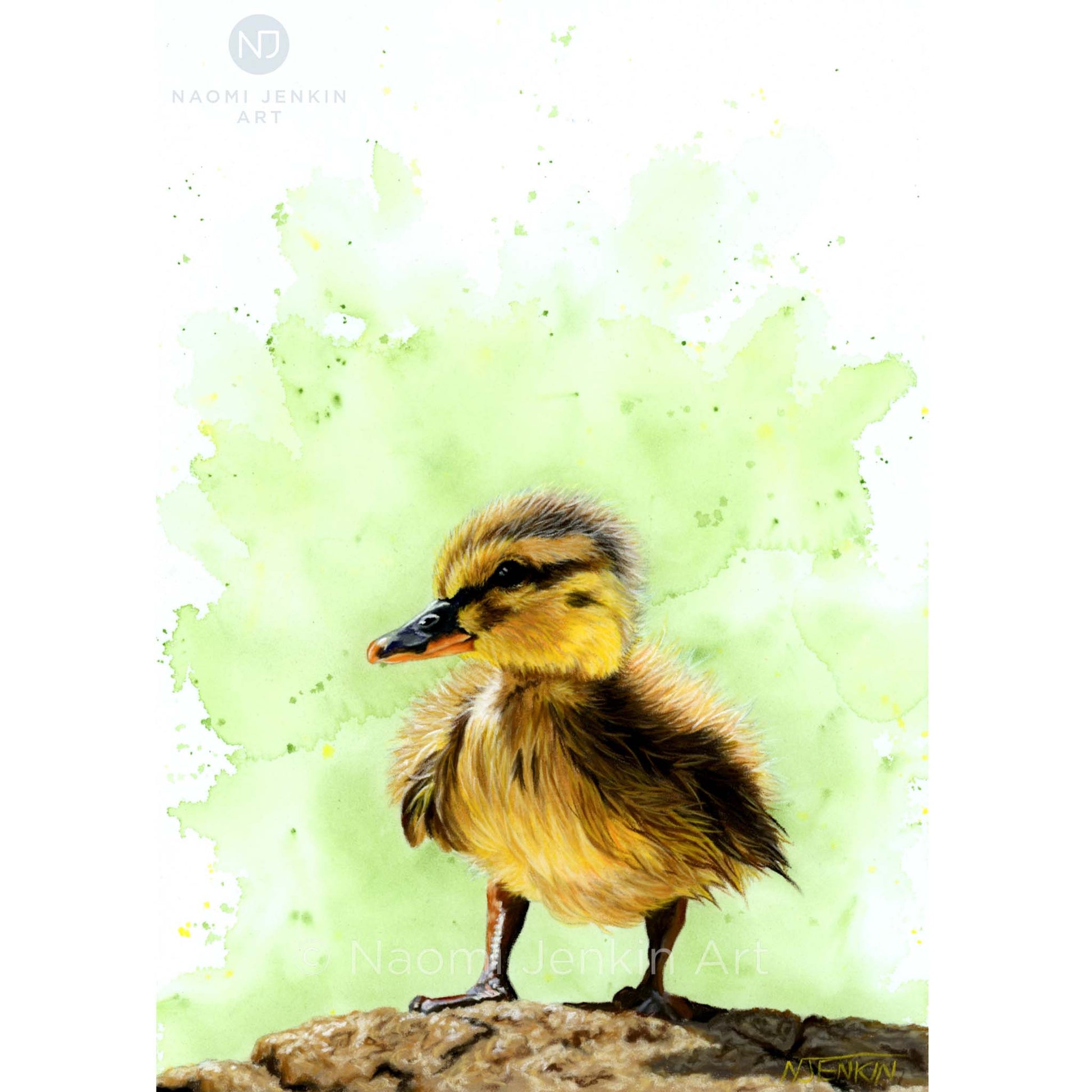Original yellow duckling drawing by Naomi Jenkin Art. 