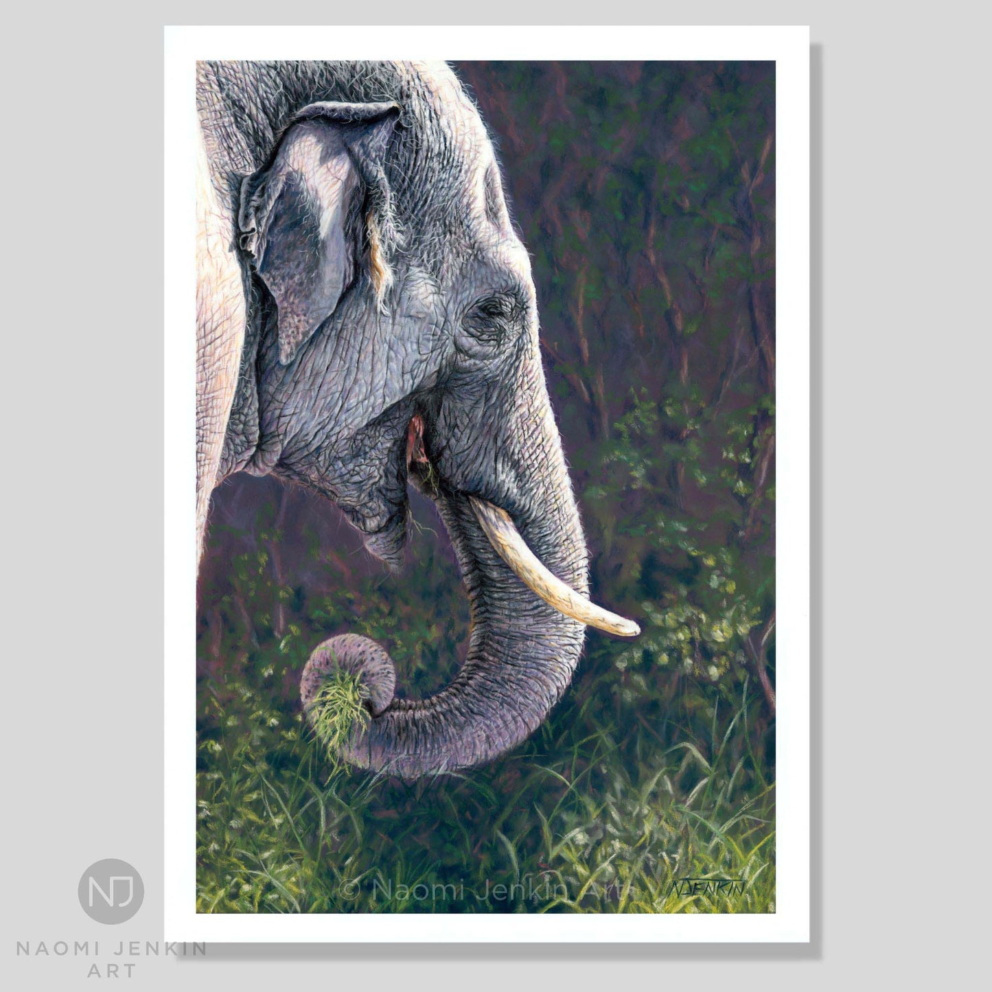 Limited edition elephant art print "Elephant of the Forest" by Naomi Jenkin Art