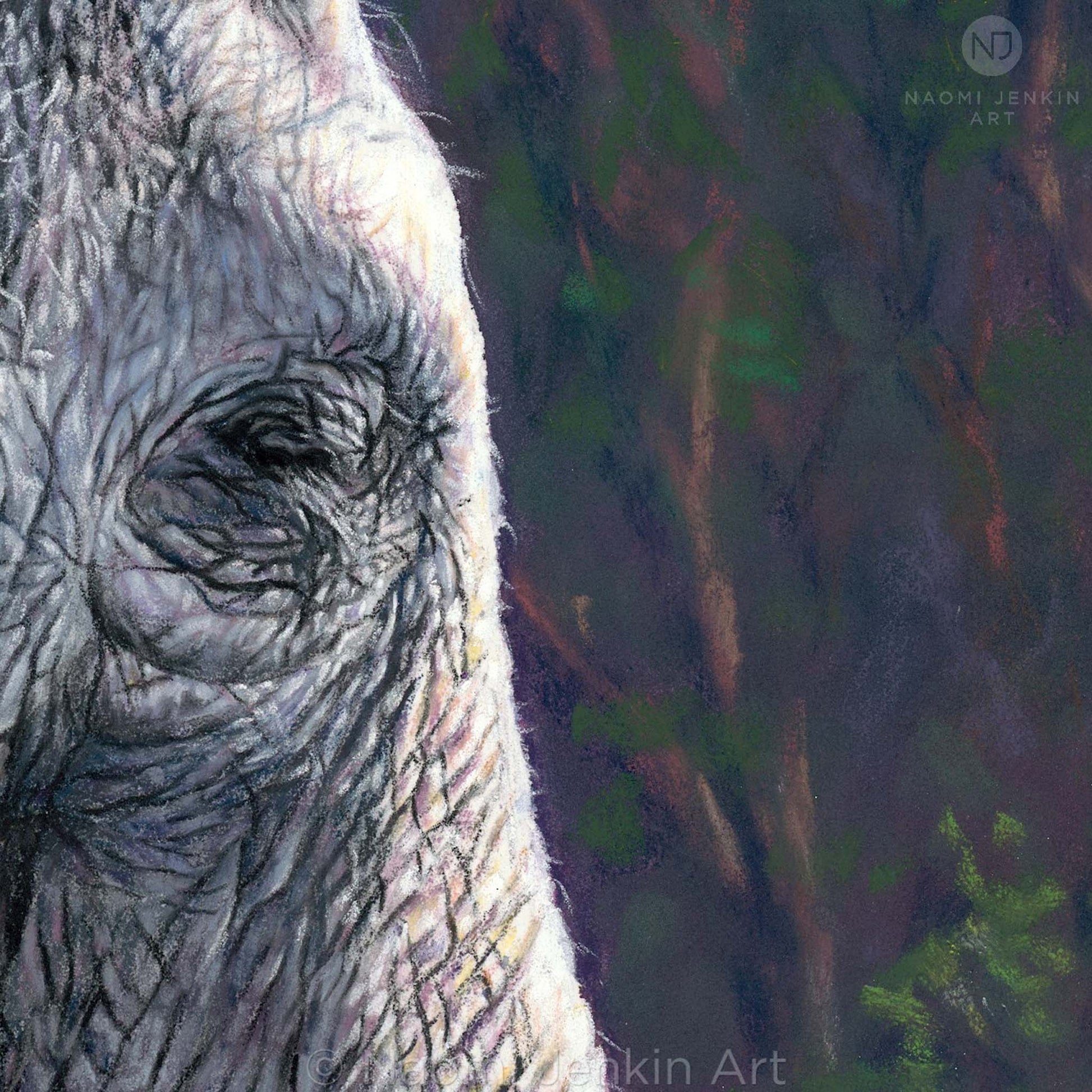 Close up detail of elephant drawing "Elephant of the Forest" by Naomi Jenkin Art. 