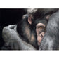 "Embrace" - chimpanzee drawing by wildlife artist Naomi Jenkin Art.