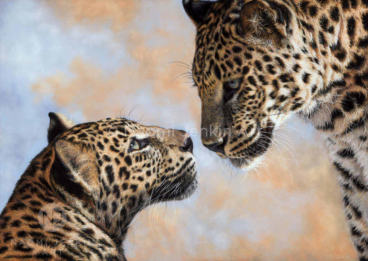 Fine art leopard print by wildlife artist Naomi Jenkin Art