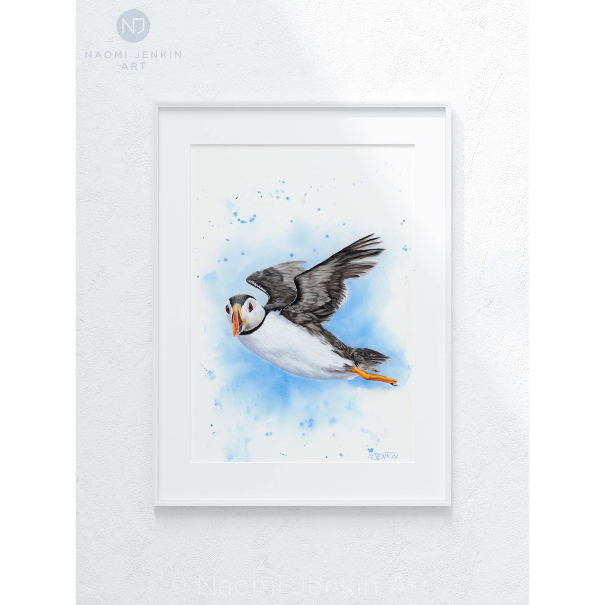 Framed original puffin drawing by Naomi Jenkin Art