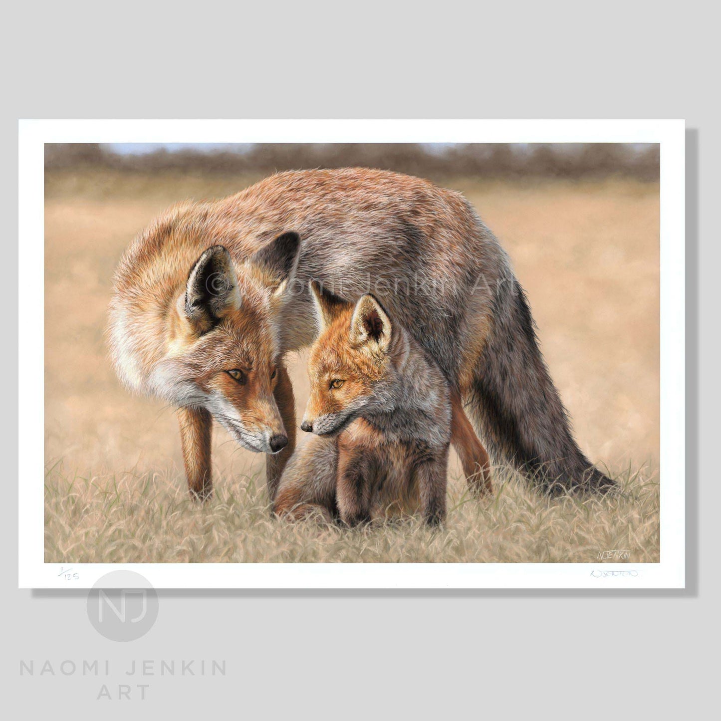 Wildlife art print of red foxes by Naomi Jenkin Art. 