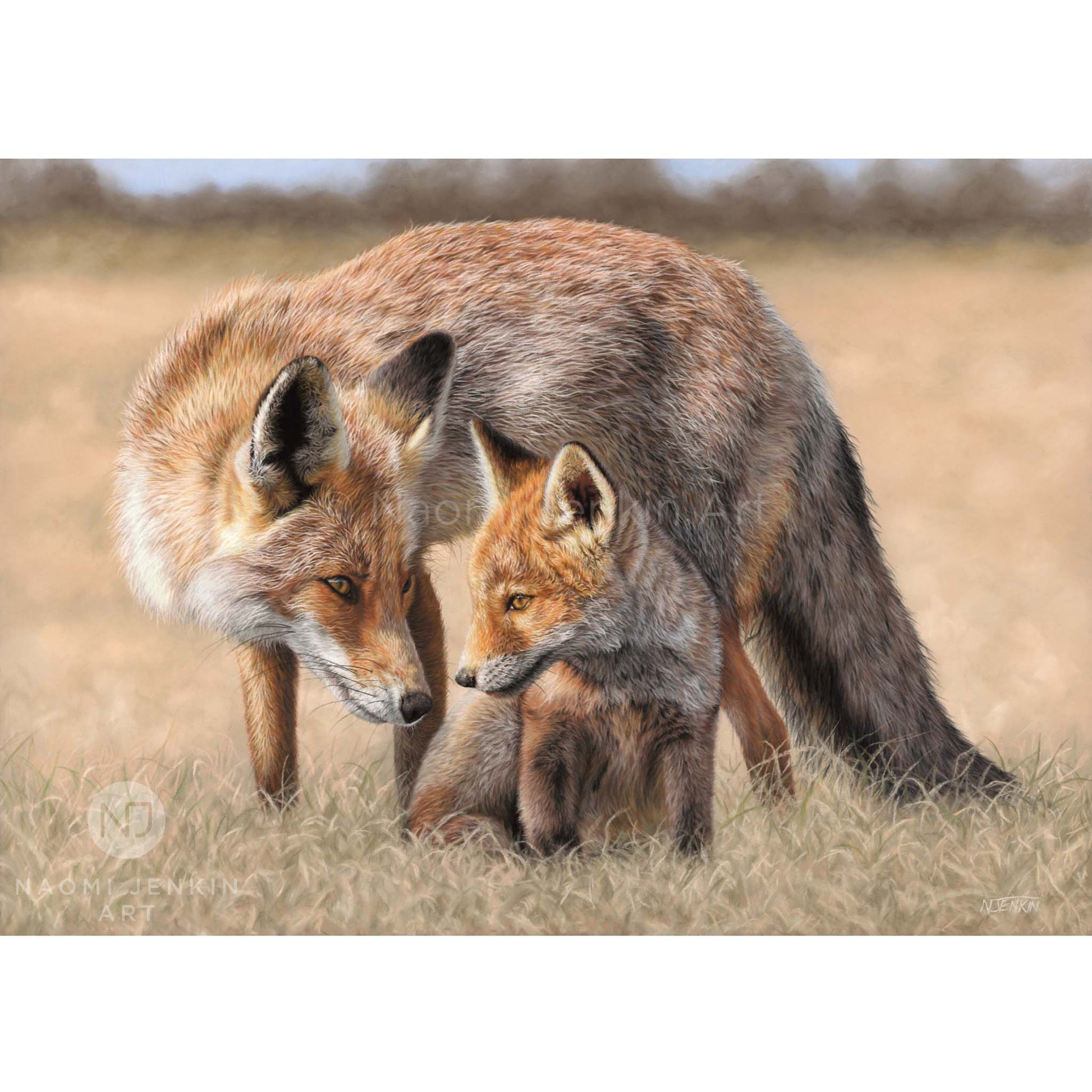 Original Fox Mum & Cub wildlife drawing by Naomi Jenkin