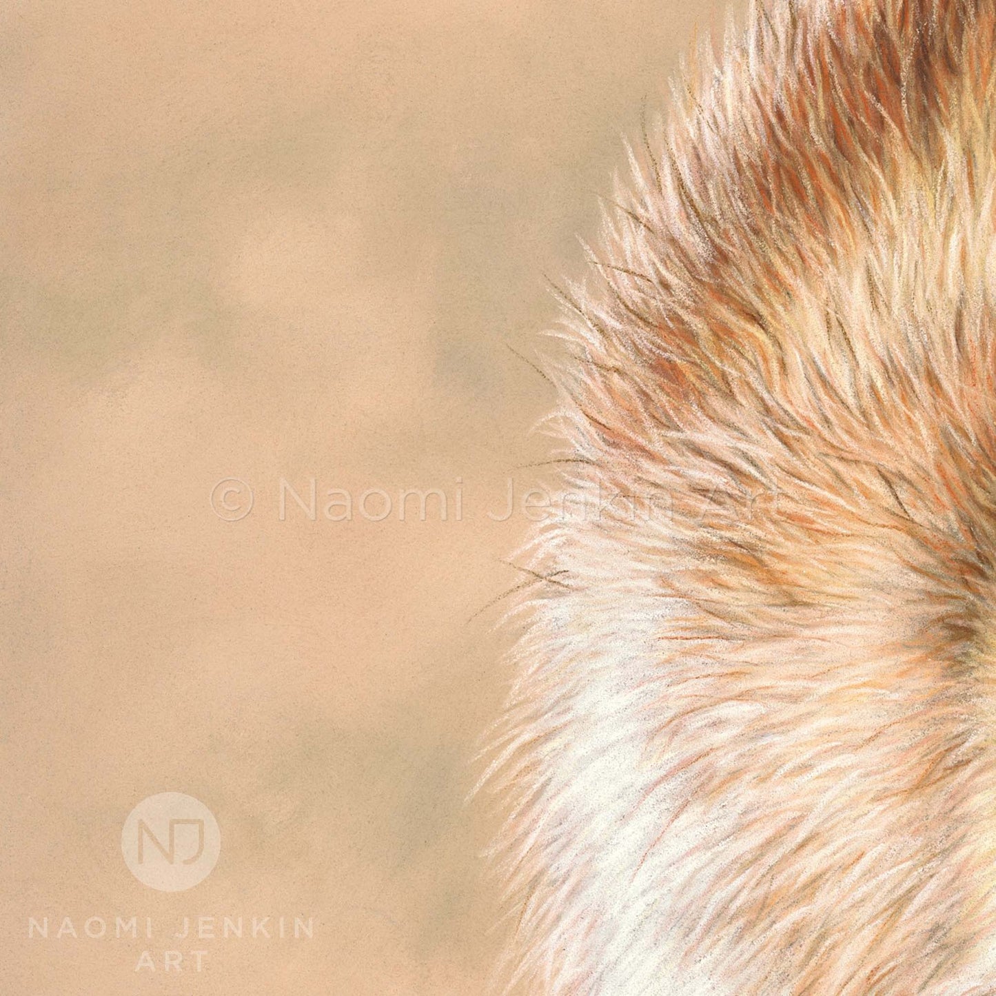 Close up of a wildlife art drawing of red foxes by Naomi Jenkin Art. 