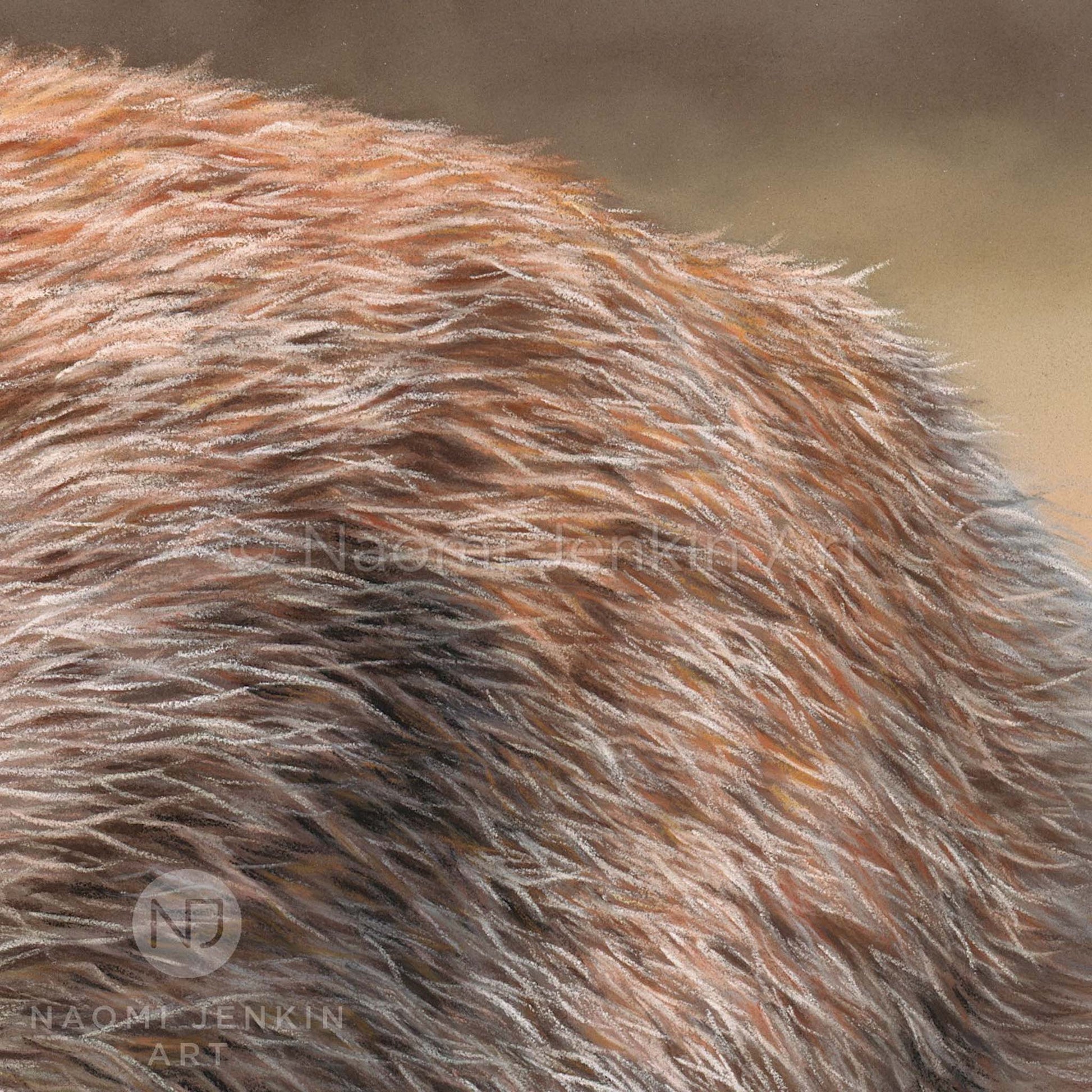 Close-up of fox fur on an original wildlife drawing by Naomi Jenkin