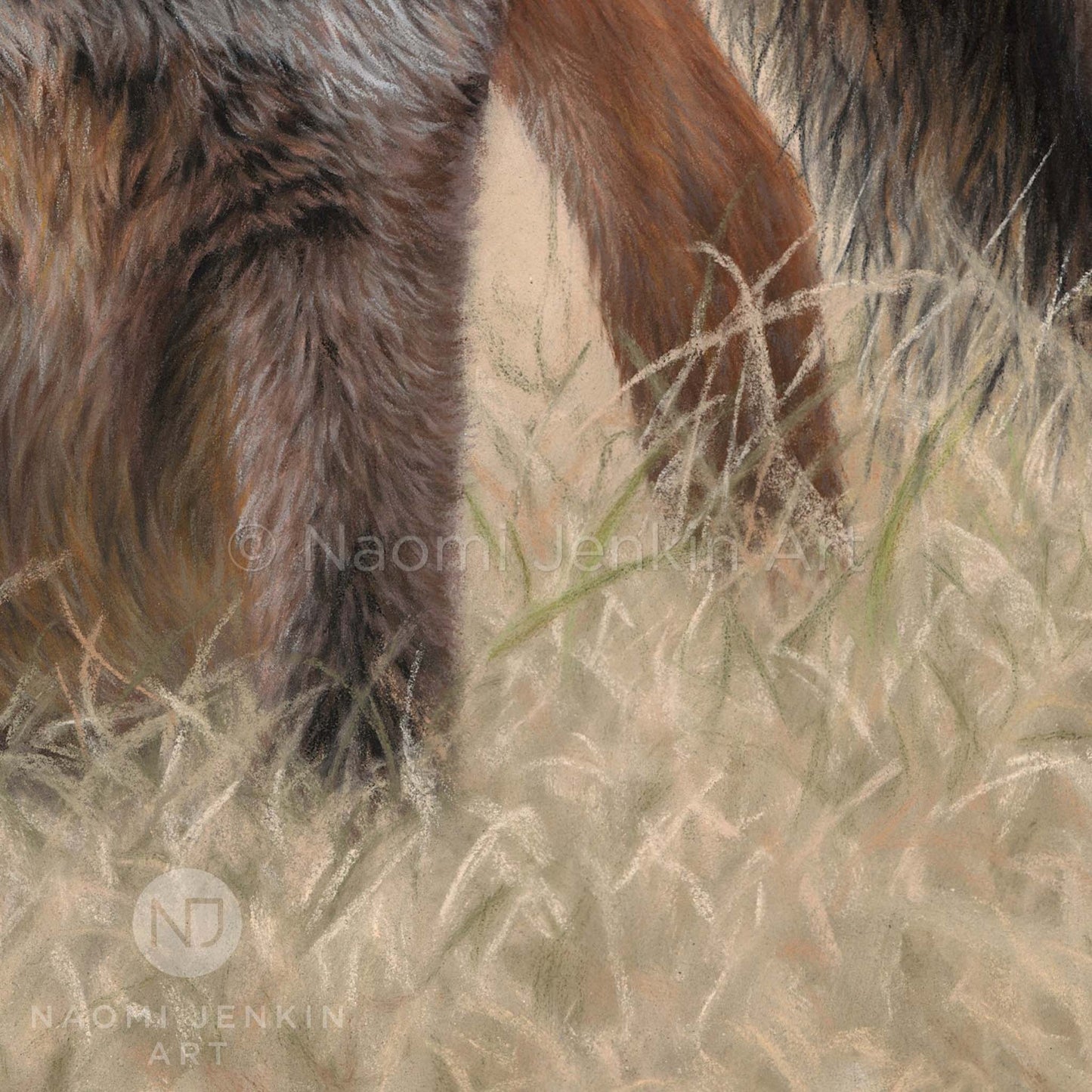 Close up of a wildlife art drawing of red foxes by Naomi Jenkin Art. 