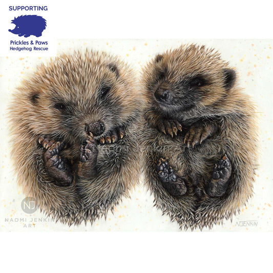 Original Hedgehog painting by wildlife artist Naomi Jenkin Art