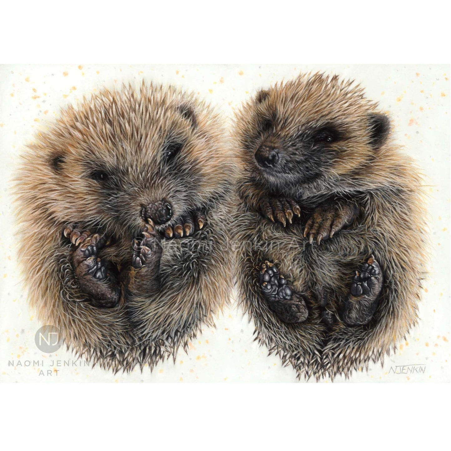 Hedgehog art print by Naomi Jenkin Art. 