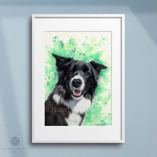 Framed border collie dog art print from an original artwork by Naomi Jenkin.