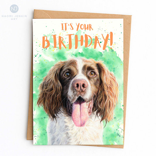 Springer spaniel birthday card by Naomi Jenkin Art.