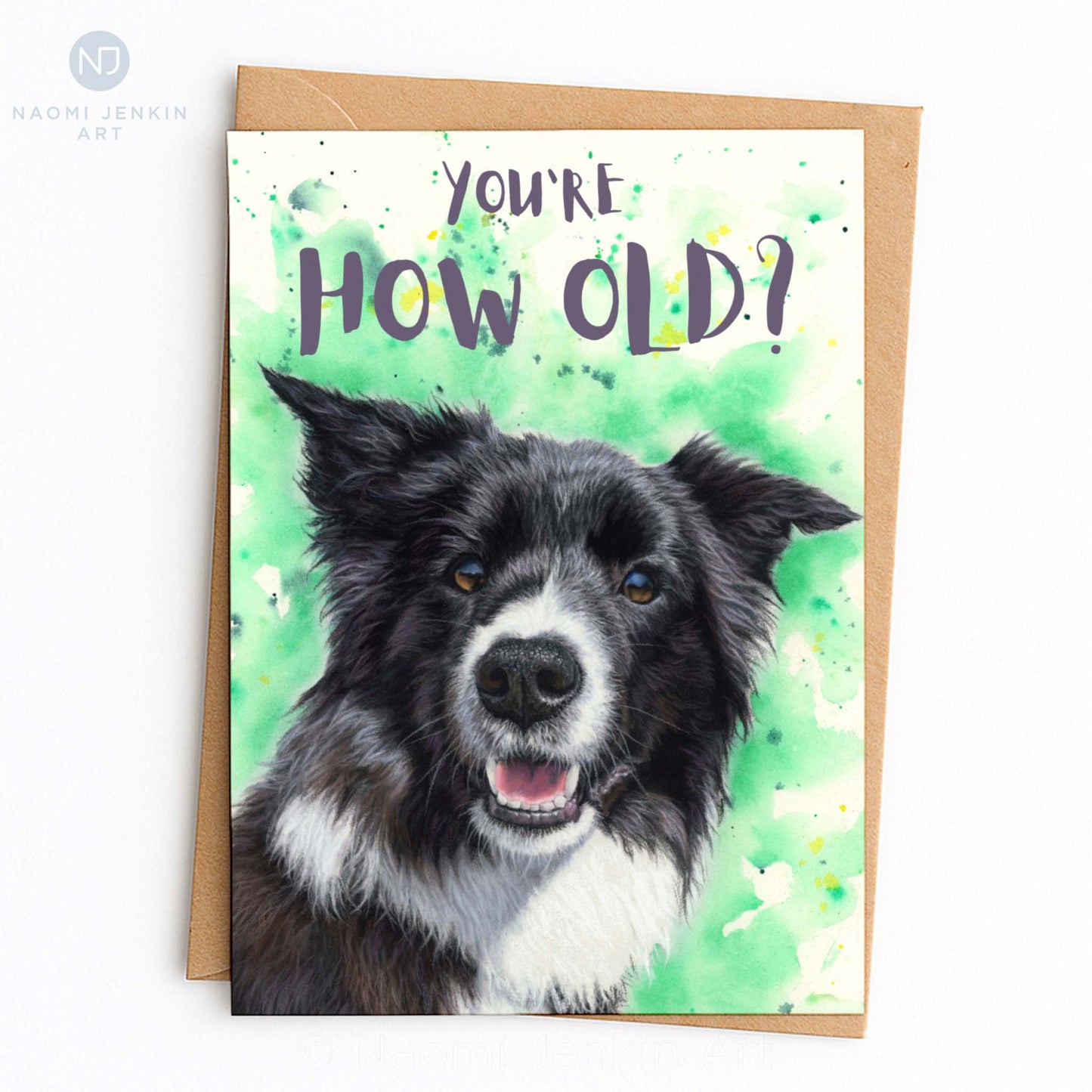 You're how old? Border collie birthday card - Naomi Jenkin Art. 