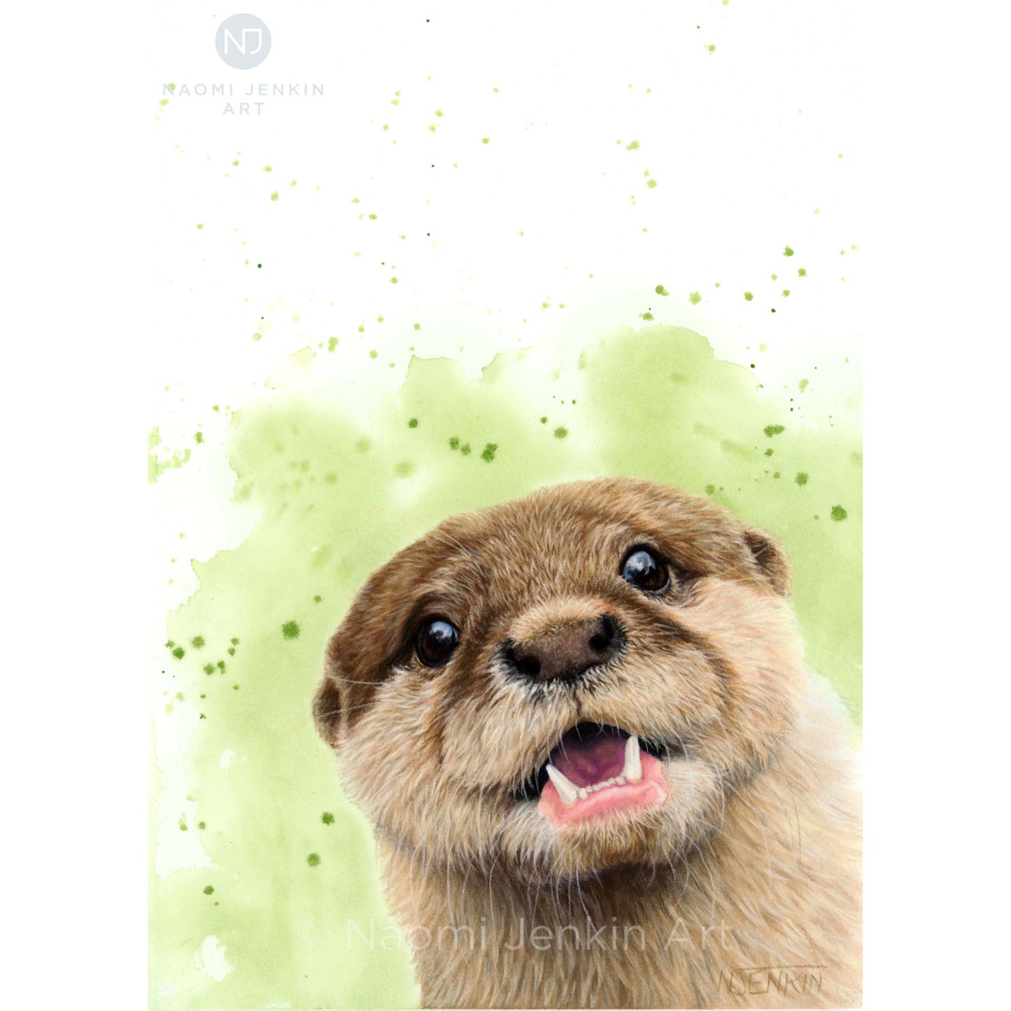 Original otter drawing by Naomi Jenkin Art. 