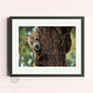 Framed art print of a grizzly bear by Naomi Jenkin Art