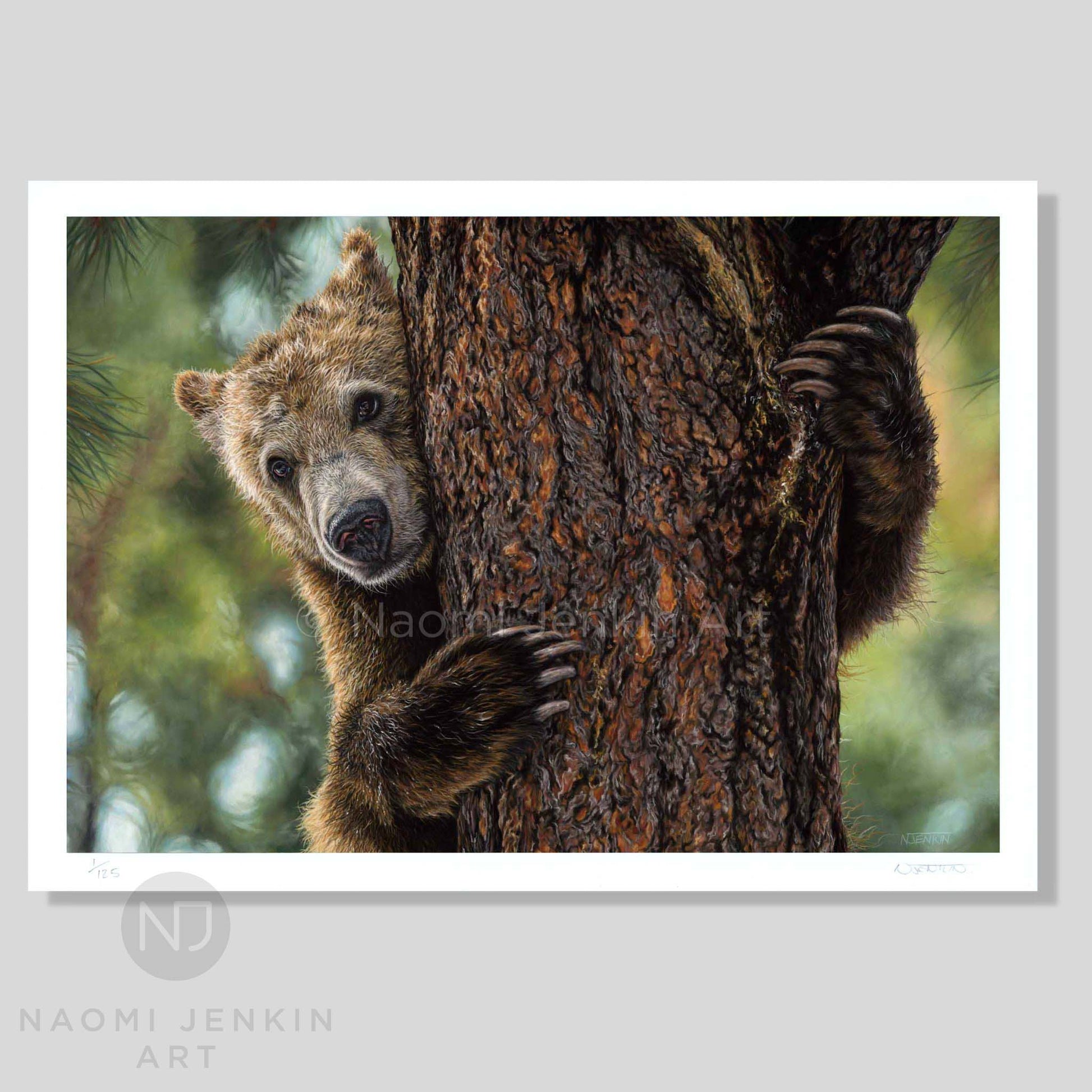 Wildlife art prints of grizzly bear drawing by Naomi Jenkin Art. 