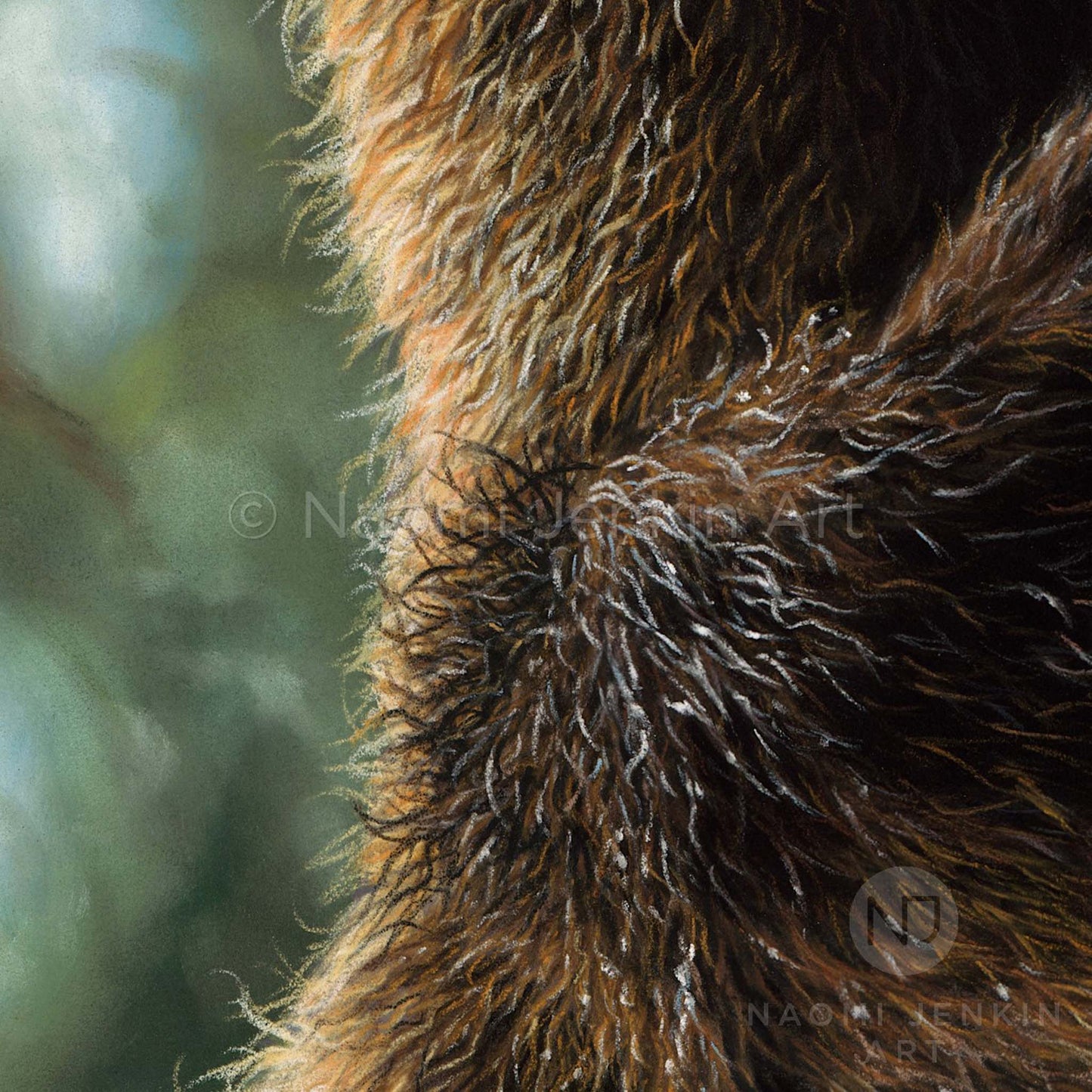 Close up drawing of a grizzly bear's fur by wildlife artist Naomi Jenkin as part of the 'Peekaboo' bear print