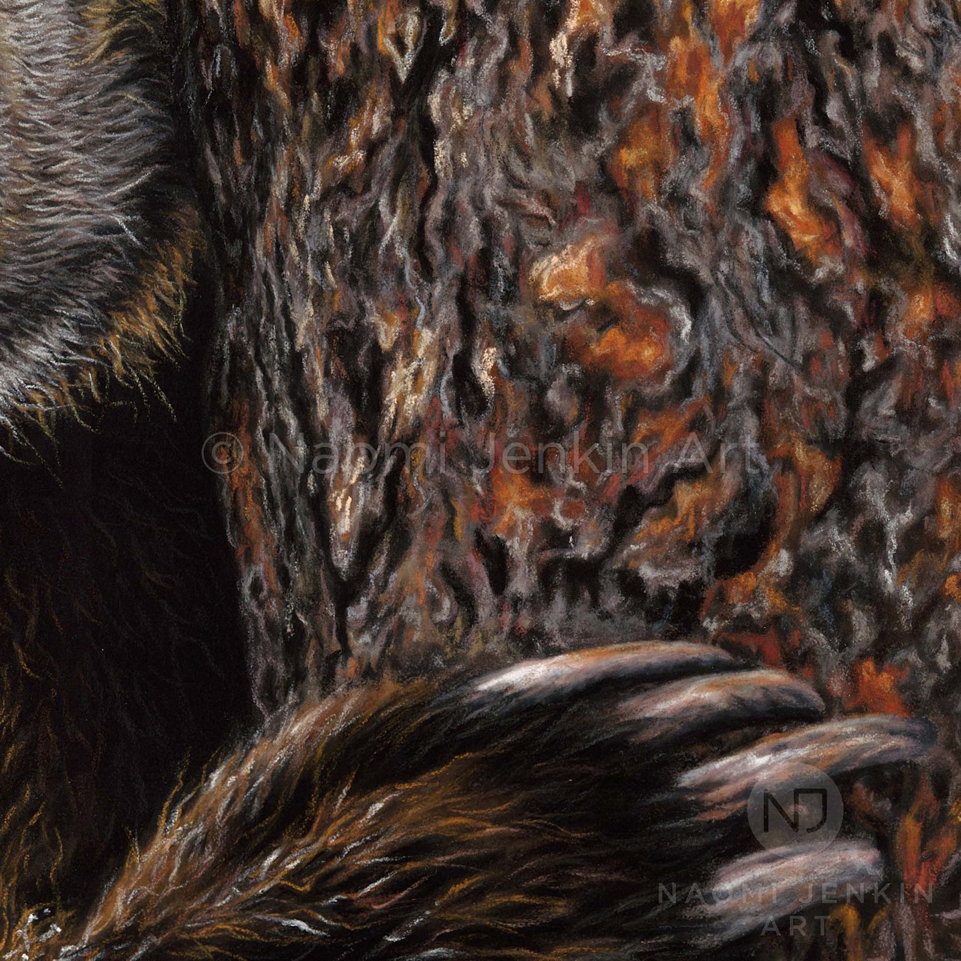Fur and paw close up from the grizzly bear painting by wildlife artist Naomi Jenkin