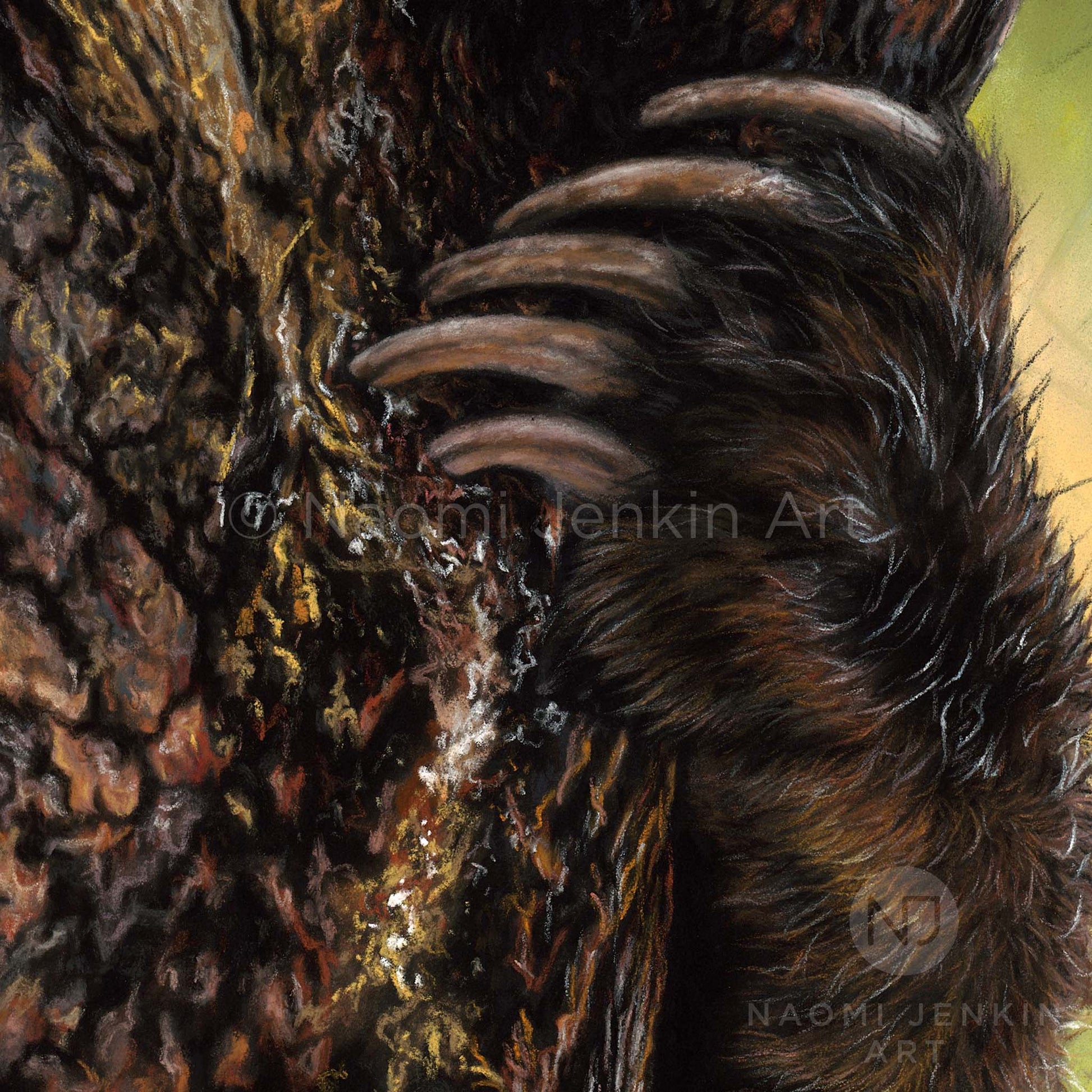 Close up drawing of a grizzly bear's fur by artist Naomi Jenkin as part of the 'Peekaboo' bear print