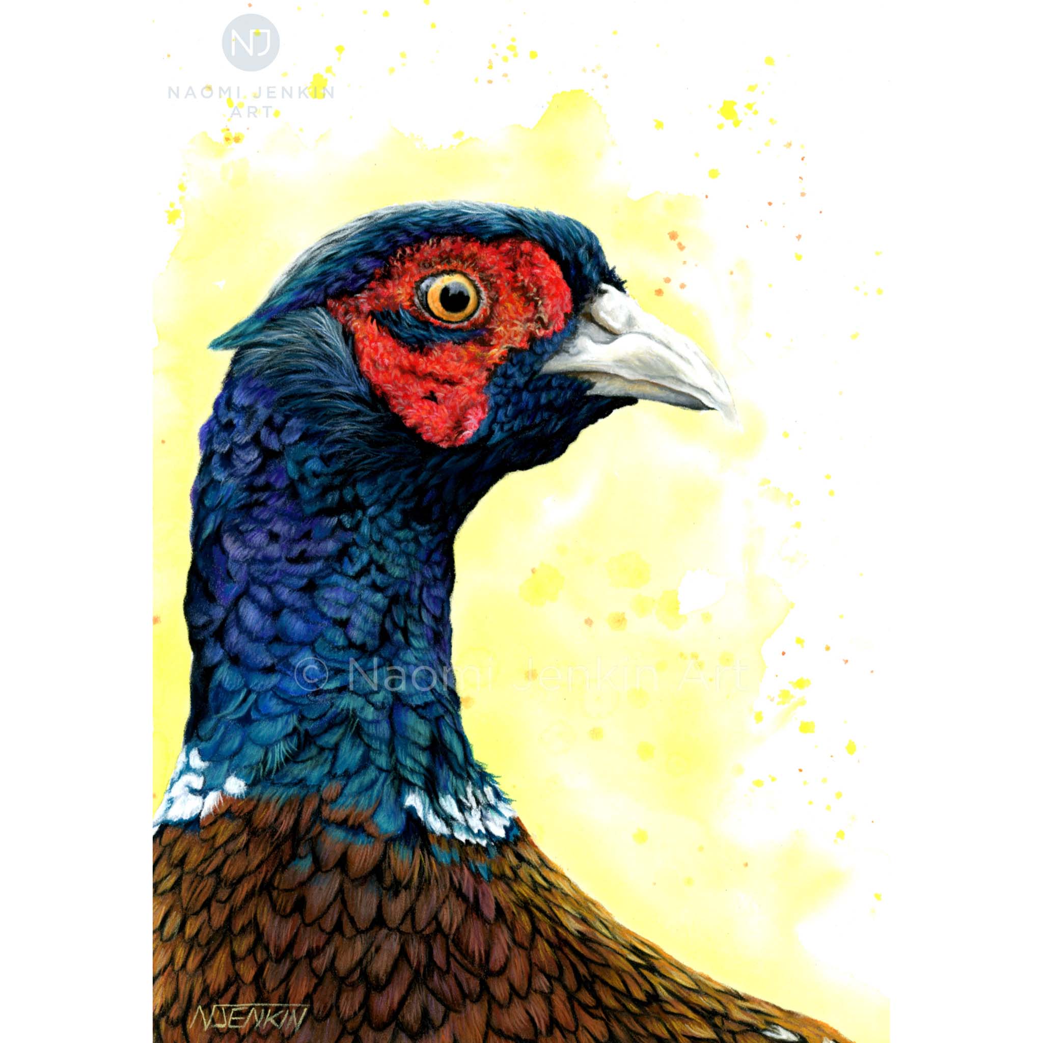 Original Pheasant Drawing - Naomi Jenkin Art