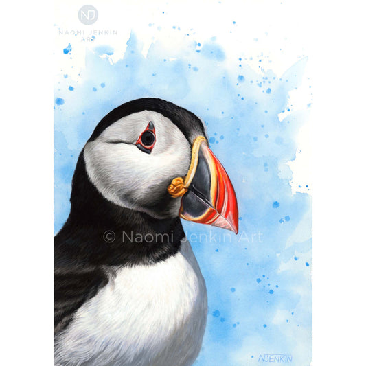 Original puffin drawing by Naomi Jenkin Art.