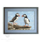 "Puffins" - Puffin Painting