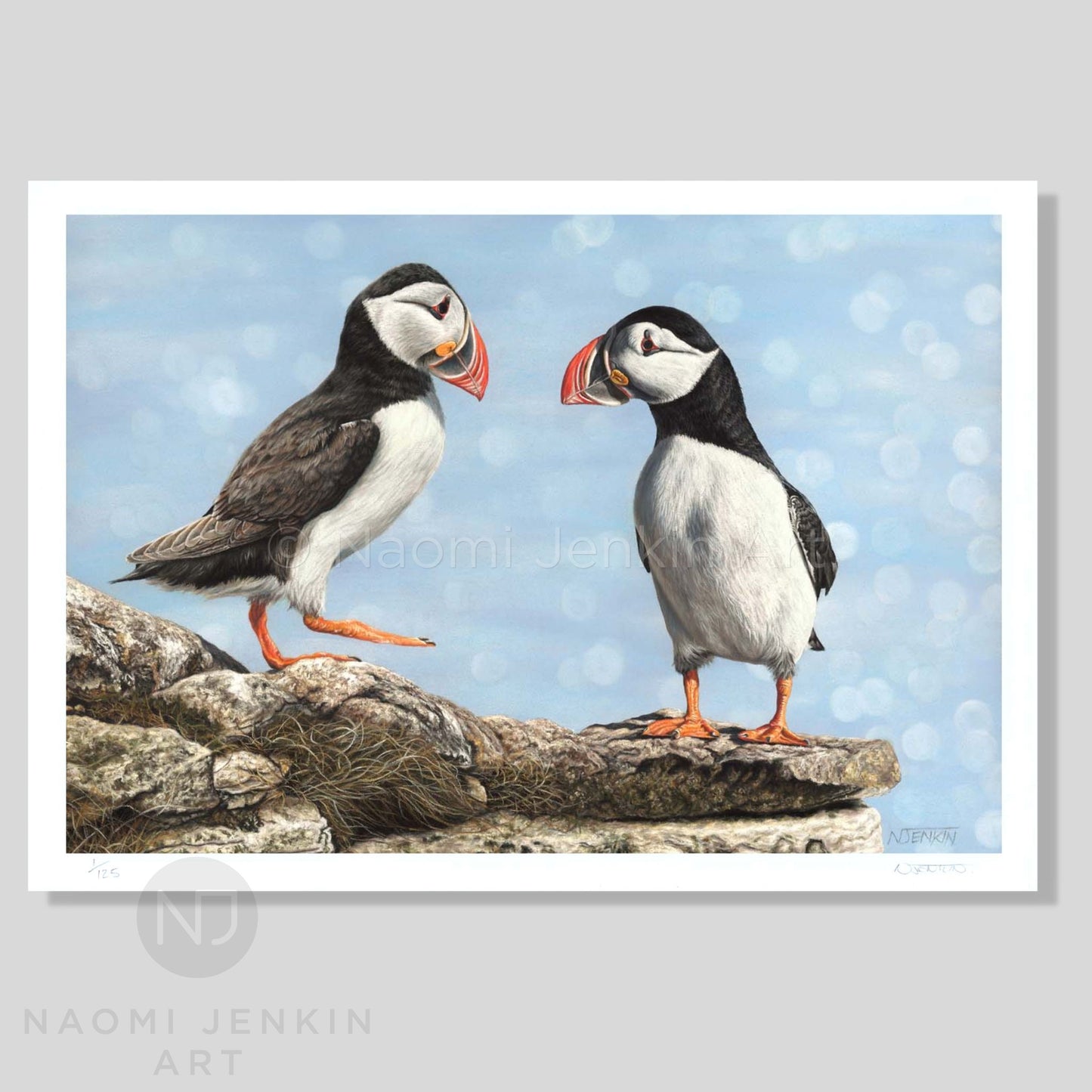 Puffin art print by wildlife artist Naomi Jenkin featuring two delightful puffins