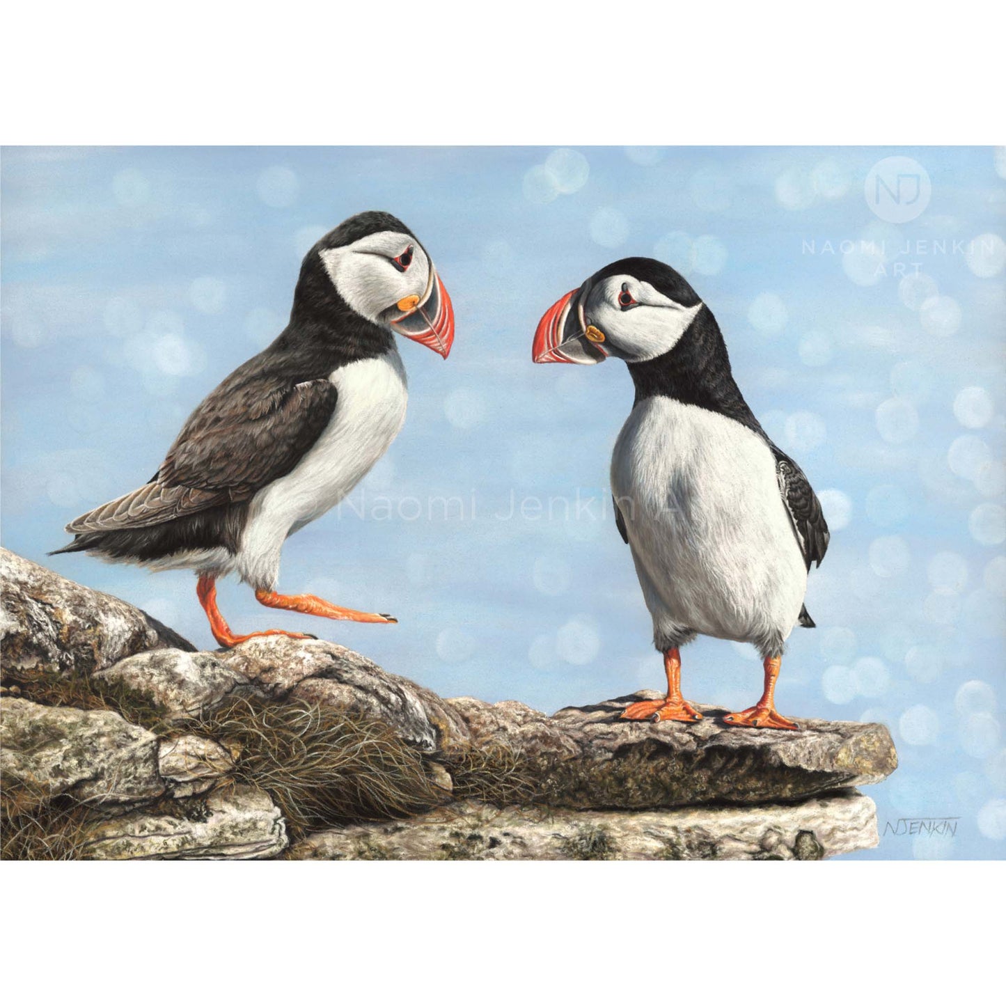 Original puffin painting by wildlife artist Naomi Jenkin Art