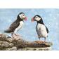 Puffin print by wildlife artist Naomi Jenkin featuring two delightful puffins