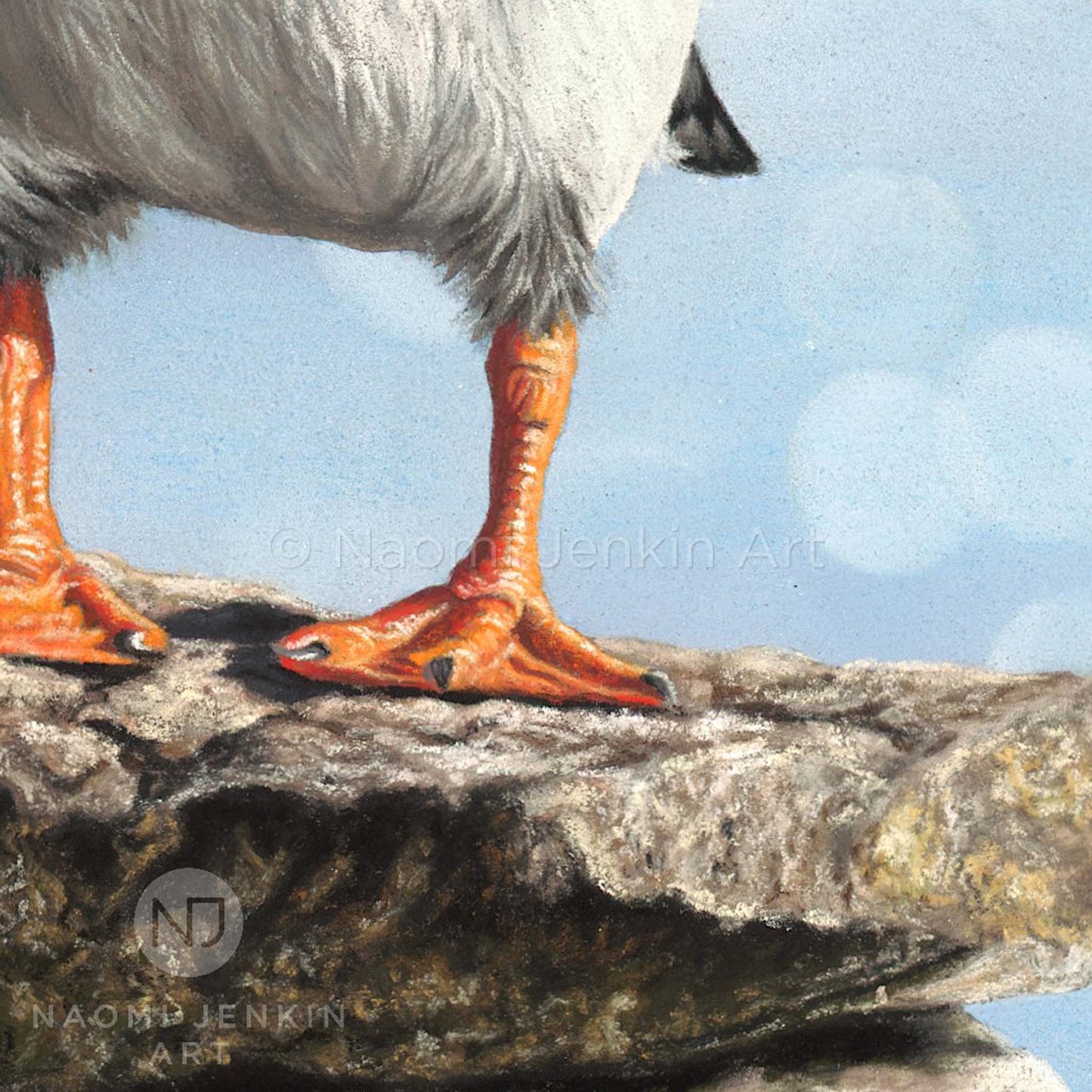 Close up puffin feet from the original painting 'Puffins' by Naomi Jenkin
