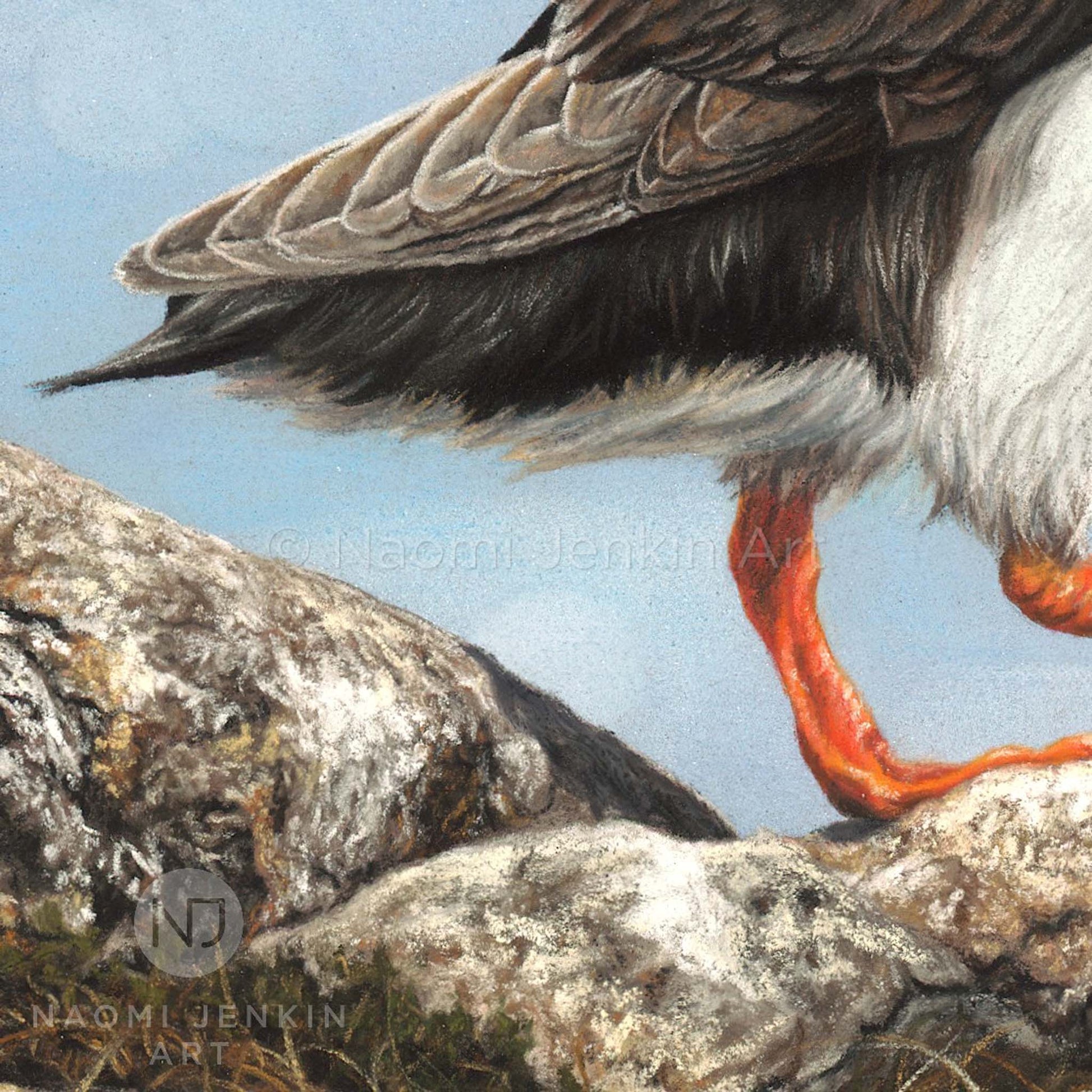 Close up of the painting detail by Naomi Jenkin on the artwork 'Puffins'
