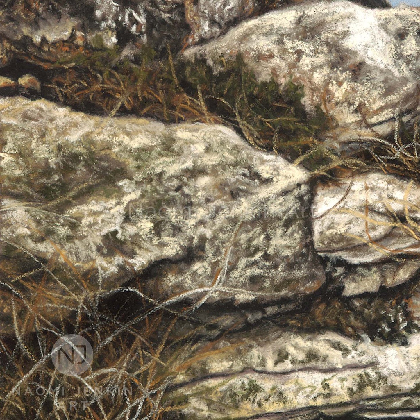 Close up of rocks featured in a puffin painting by wildlife artist Naomi Jenkin Art