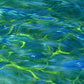 Ripples - original oil painting by Naomi Jenkin showing shallow water in green, yellow and blue with twinkling light reflections. 