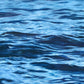 'Solace' - seascape painting of calm ocean ripples by Naomi Jenkin Art. Painted in oil on canvas. 