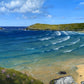 Original oil seascape painting by Naomi Jenkin of Crantock Bay, Cornwall in summer, showing turquoise sea with swell curving into the bay at high tide, sea pinks flowering in the foreground, and Pentire Headland and Goose Rock in the distance.