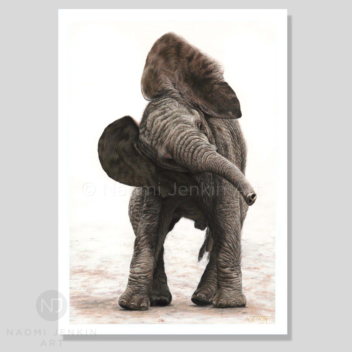 African elephant art print by wildlife artist Naomi Jenkin Art