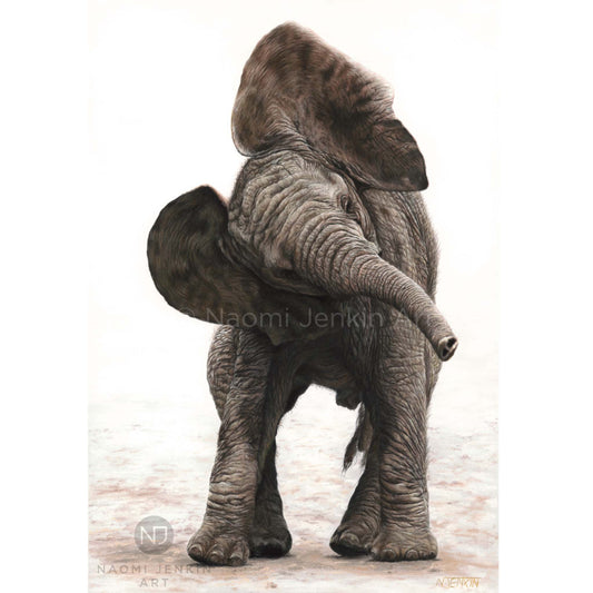 Original elephant painting by wildlife artist Naomi Jenkin Art
