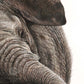 "Shake It Off" - Elephant Painting