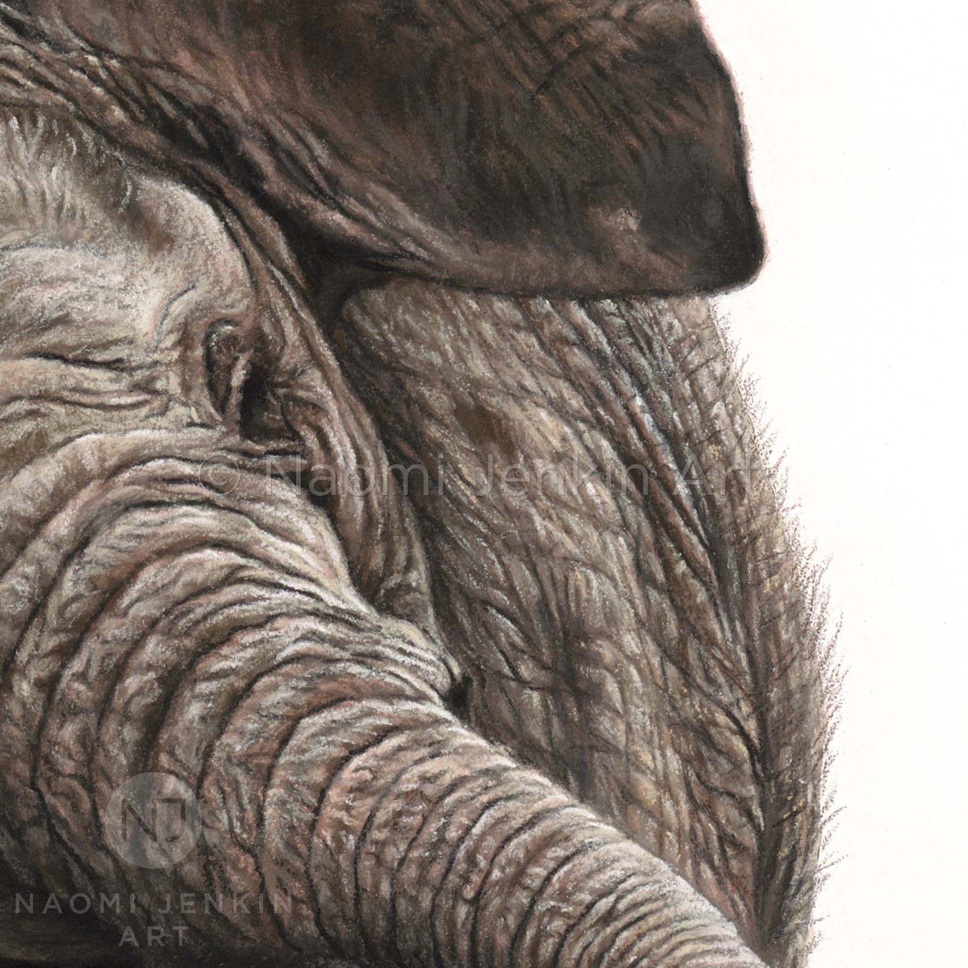Close up elephant face and trunk from the 'Shake It Off' original painting by Naomi Jenkin