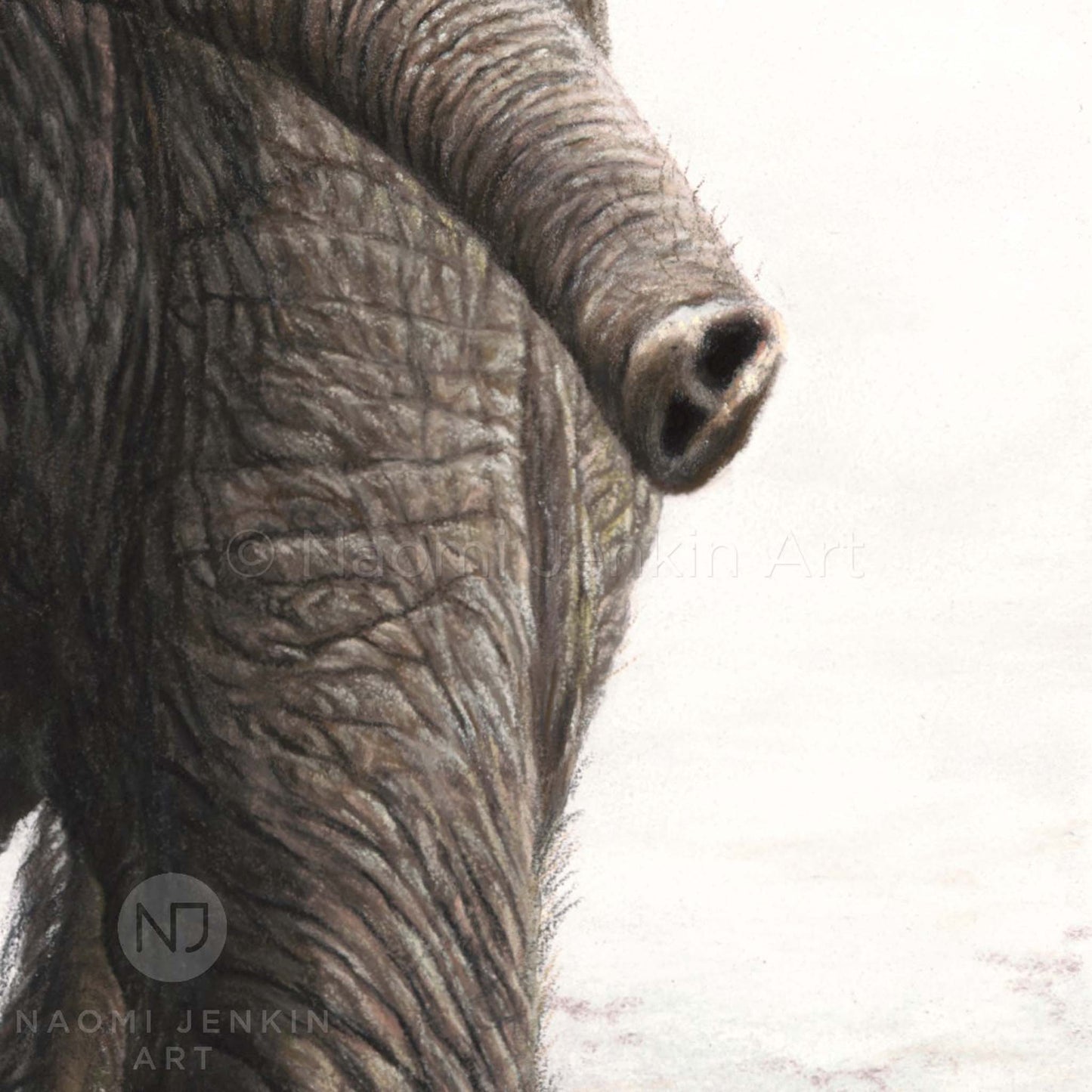 Elephant painting trunk close up from the original artwork 'Shake It Off' by Naomi Jenkin 