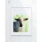 Framed original sheep artwork by Naomi Jenkin Art.