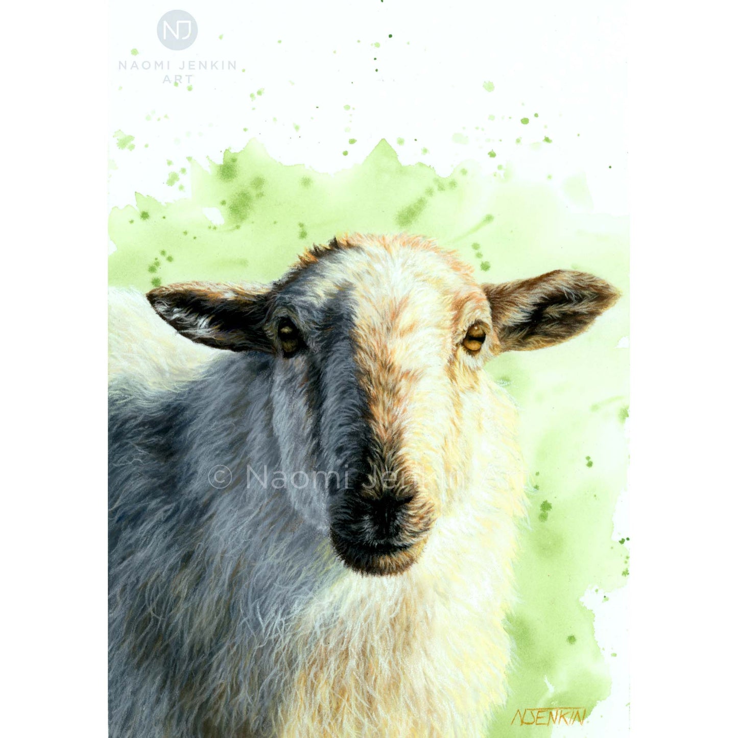 Original sheep artwork by Naomi Jenkin Art.