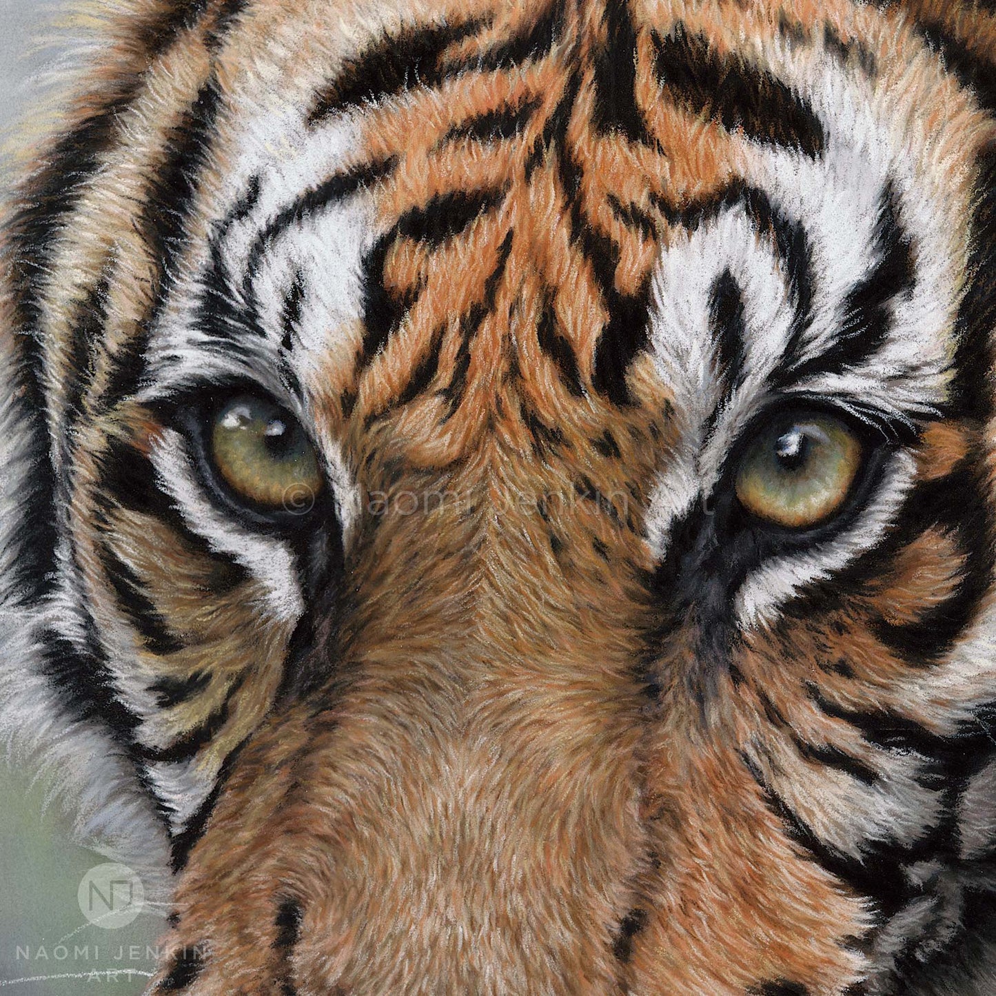 Detail from original tiger painting "Stealth" by Naomi Jenkin Art